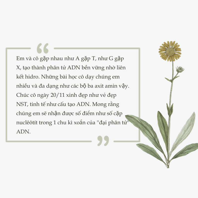 lời chúc thầy cô 20/11