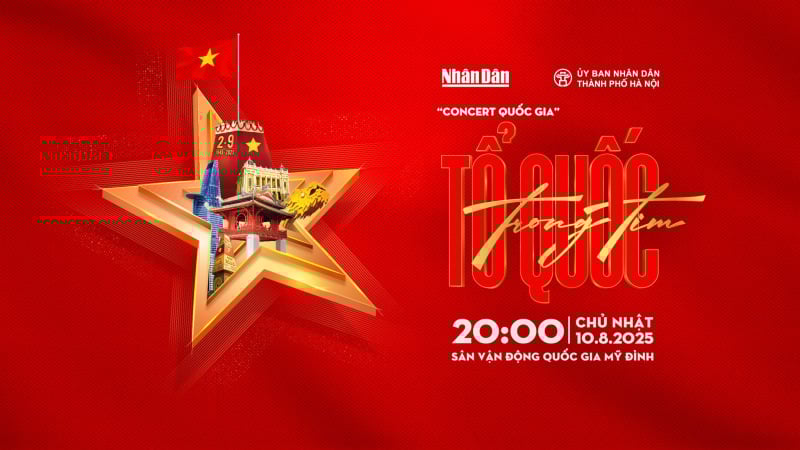 mặc gì đi concert tổ quốc trong tim