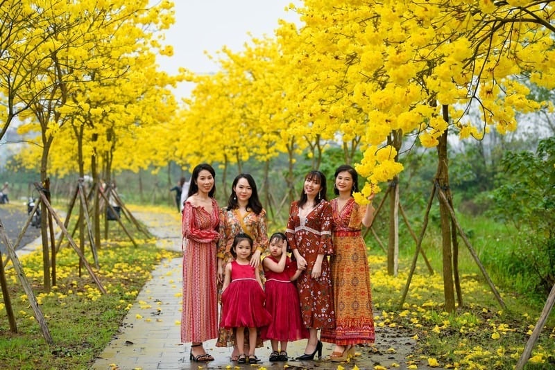chụp ảnh cùng hoa phong linh
