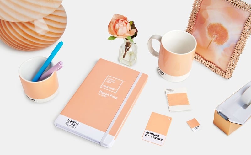 Pantone công bố màu chủ đạo của năm 2024: Peach Fuzz – Cardina