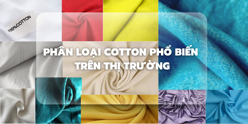 Vải cotton là gì?