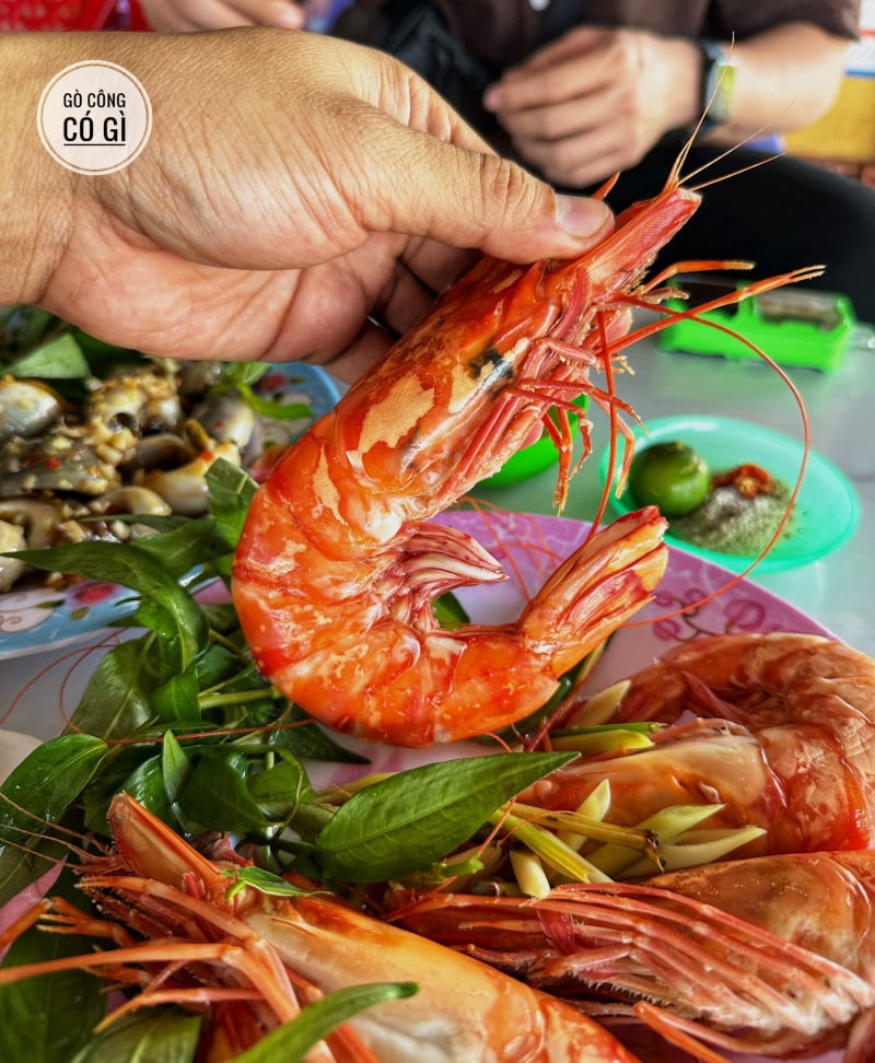 biển tân thành