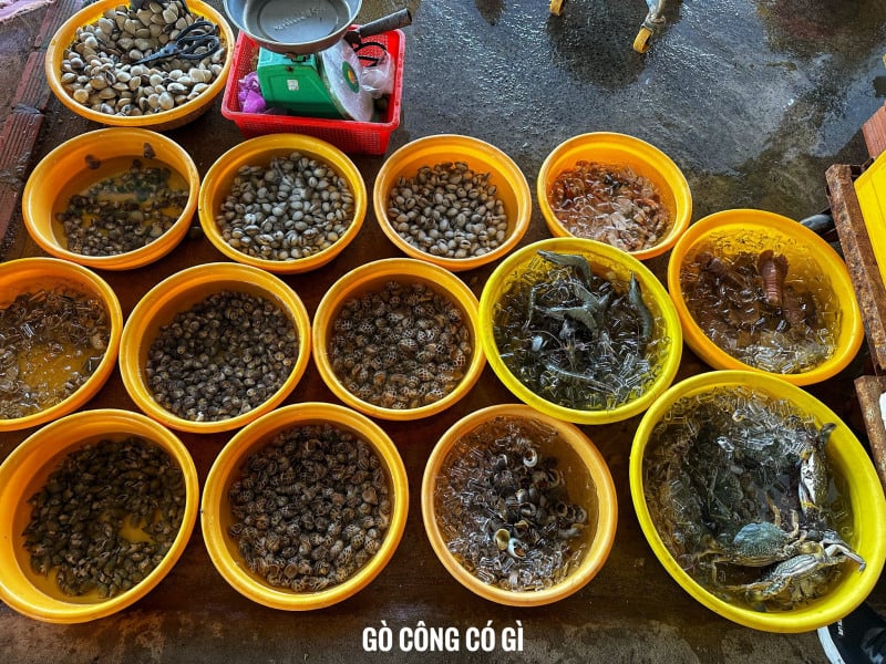 biển tân thành
