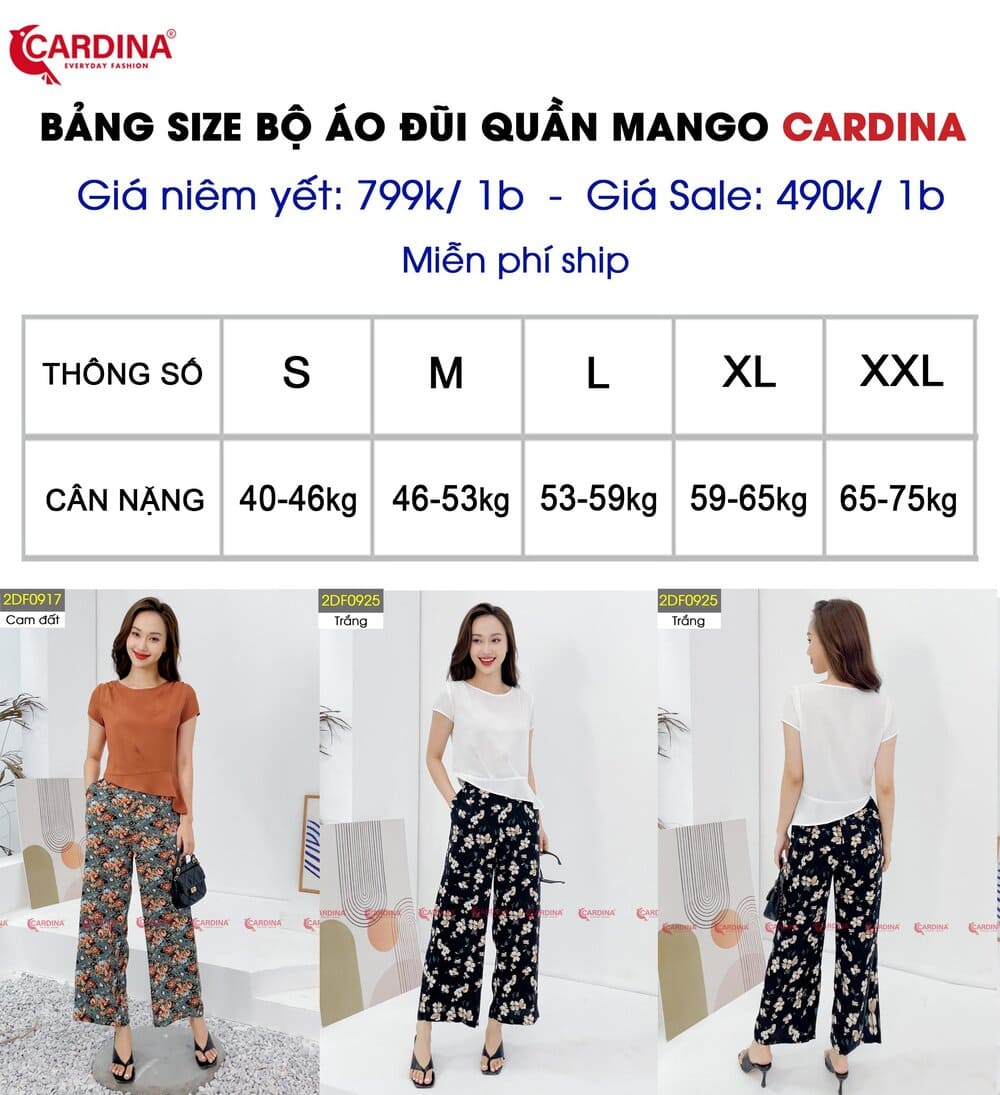bộ công sở