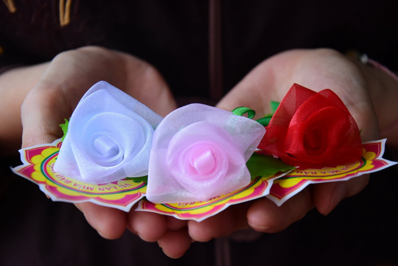 stt vu lan báo hiếu