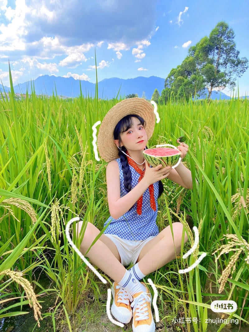 concept chụp ảnh ở cánh đồng lúa