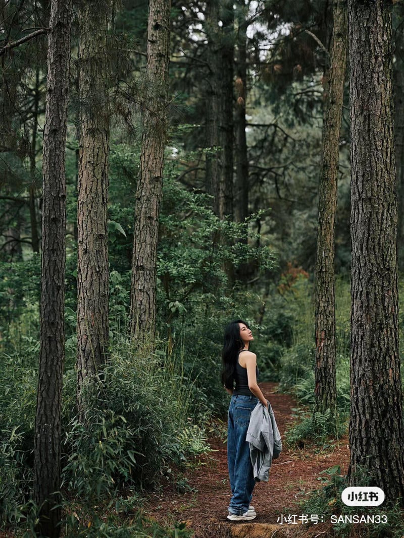 tạo dáng chụp ảnh trong rừng thông