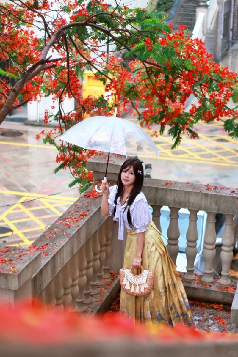 cách tạo dáng chụp ảnh cùng hoa phượng