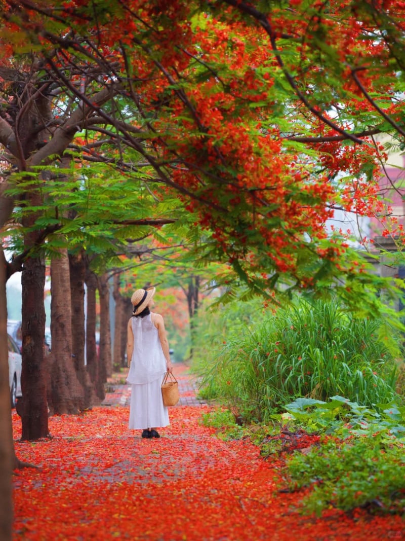 cách tạo dáng chụp ảnh cùng hoa phượng