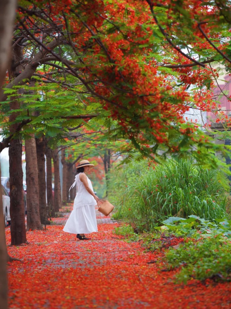 cách tạo dáng chụp ảnh cùng hoa phượng