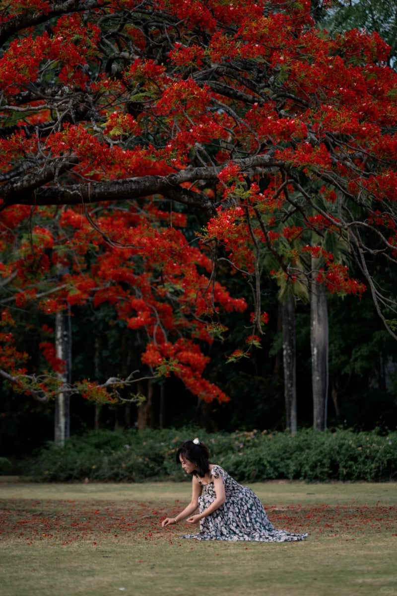 cách tạo dáng chụp ảnh cùng hoa phượng
