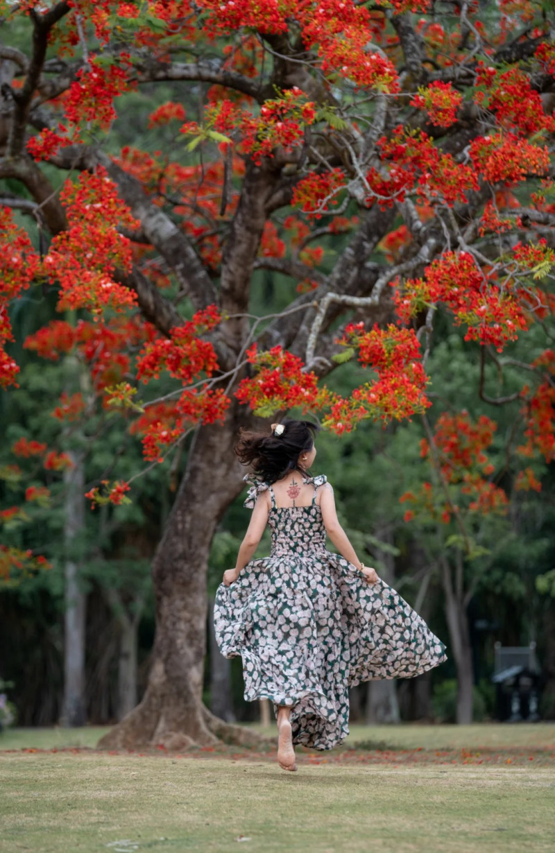 cách tạo dáng chụp ảnh cùng hoa phượng