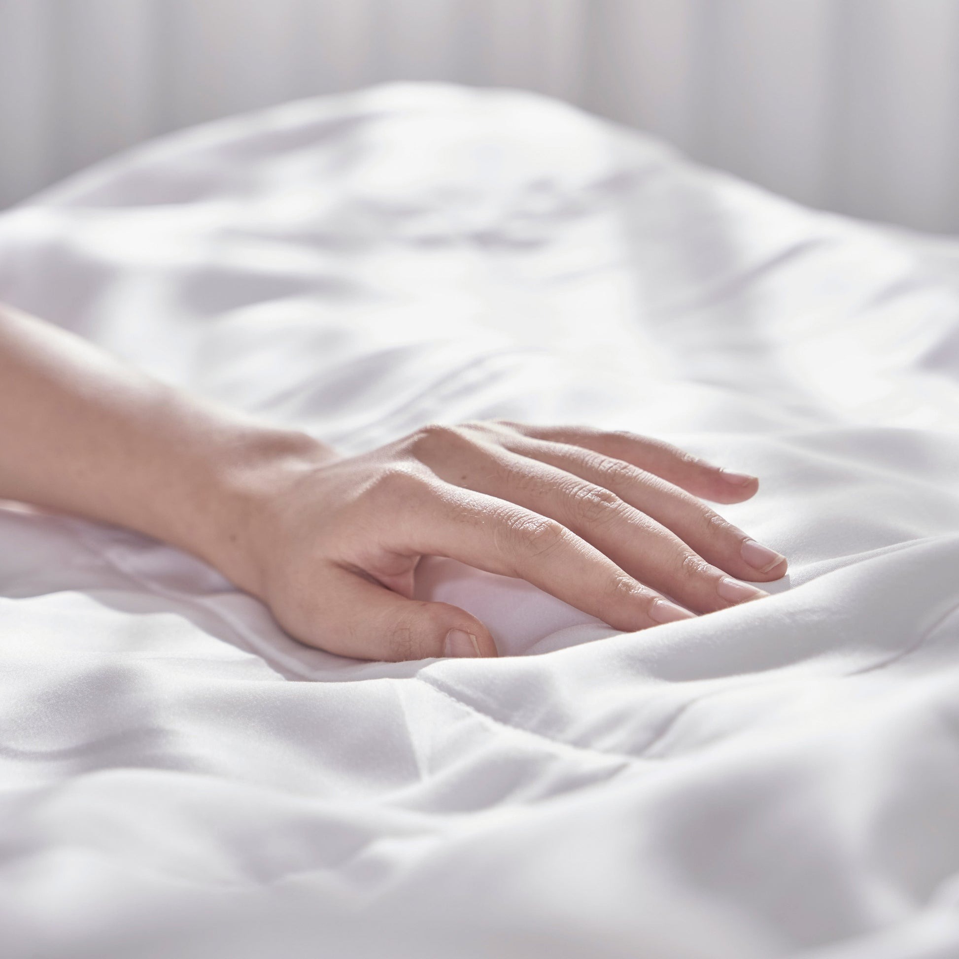 Khái Niệm Và Nguồn Gốc Của Vải Bạch Đàn