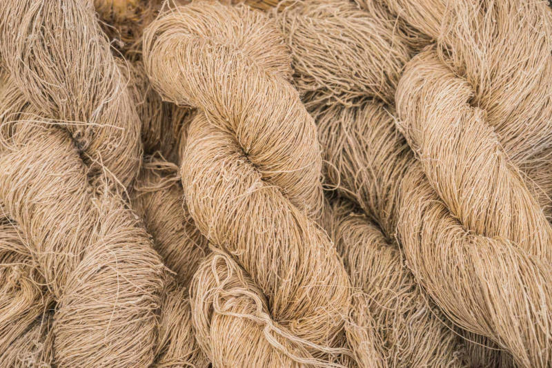 Vải Hemp là gì?