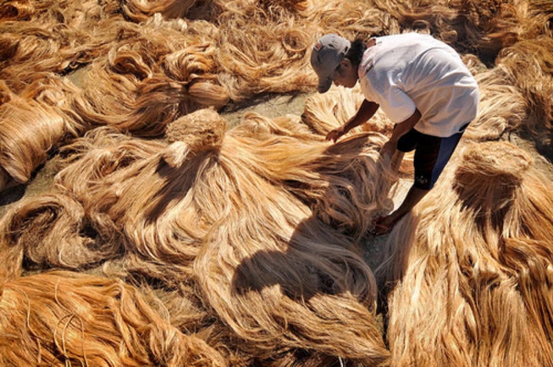 Vải sợi chuối là gì?