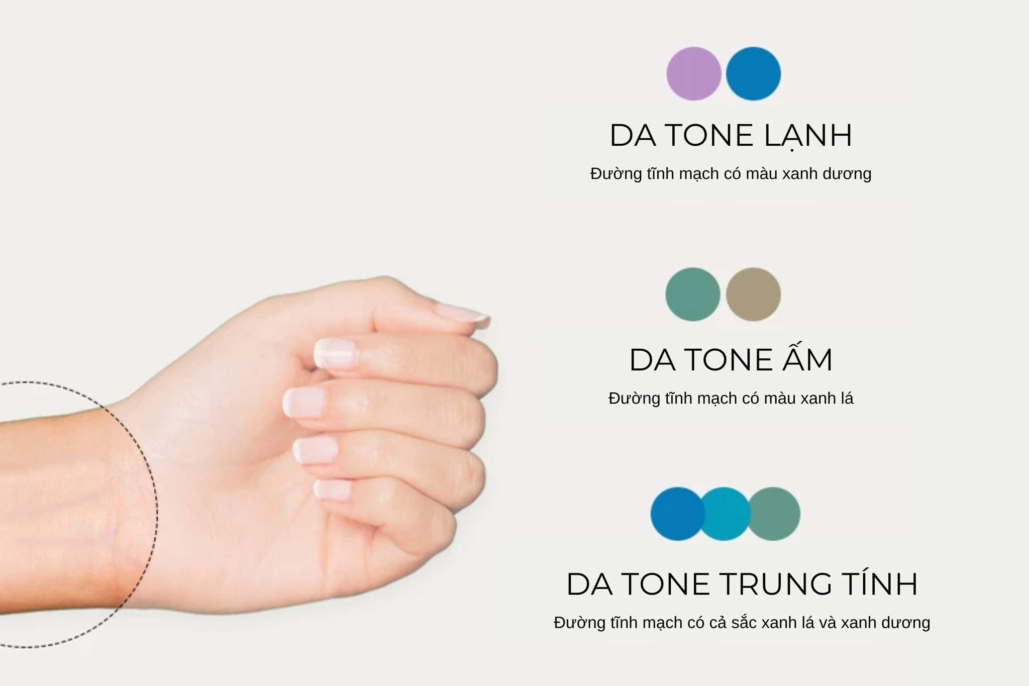 Xác Định Tông Da