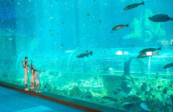 Khu cung điện hải dượng tại Công viên nước - thế giới Lốc Xoáy