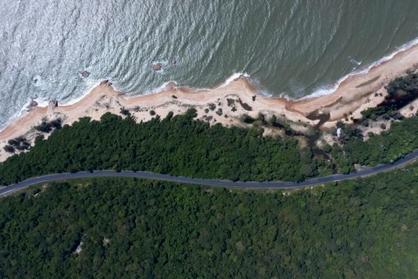 mặt trời đang mọc lên trên biển hồ tràm