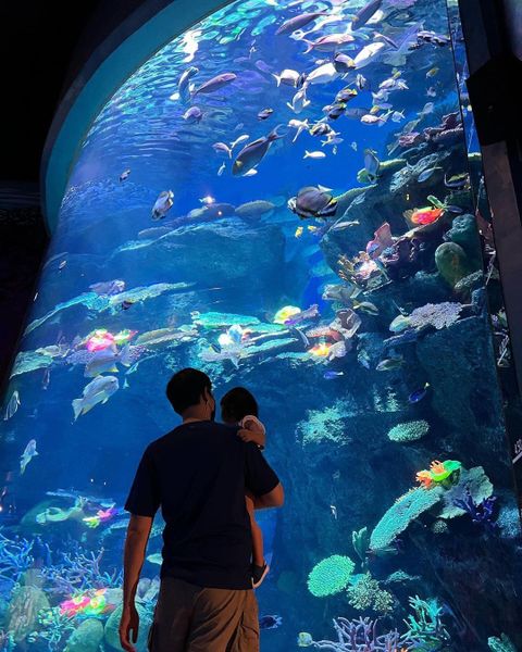 Bankok sea life tại Thái lan