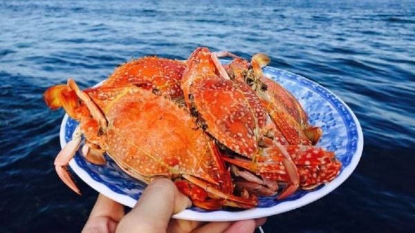 Ghẹ Hàm Ninh Phú Quốc