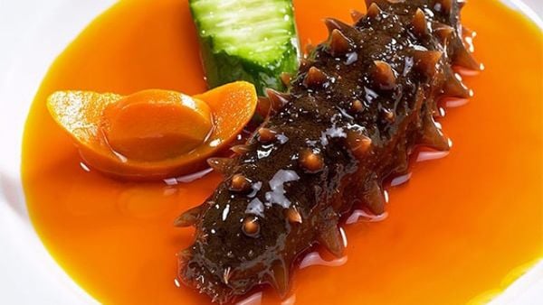 Hải Sâm Phú Quốc