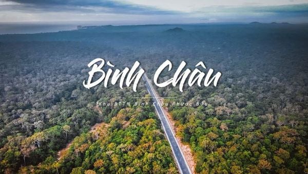 Khu bảo tồn thiên nhiên Bình Châu – Phước Bửu thu hút nhiều du khách –  Joy's Holiday
