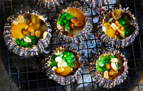 Nhum Biển Phú Quốc