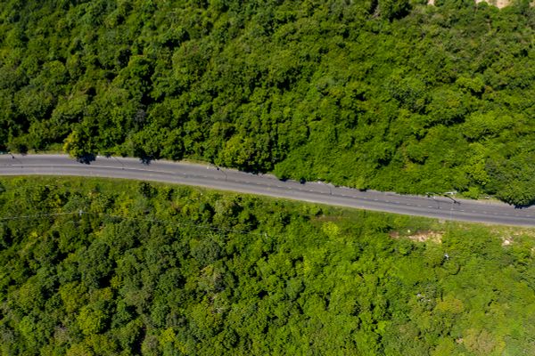 mặt trời đang mọc lên trên biển hồ tràm