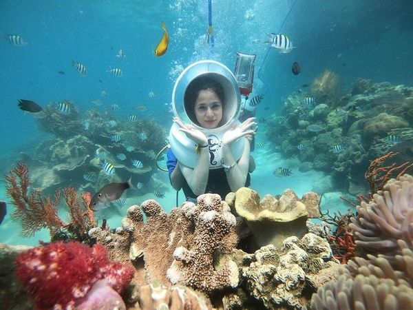 Vịnh san hô Nha Trang- lặn ngắm san hô