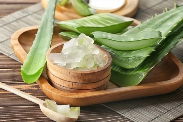 Công dụng tuyệt vời của nha đam không phải ai cũng biết