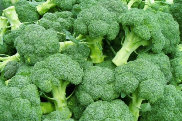 Lưu Ý Khi Ăn Bông Cải Xanh, Mỗi Ngày Nên Ăn Bao Nhiêu Là Đủ?
