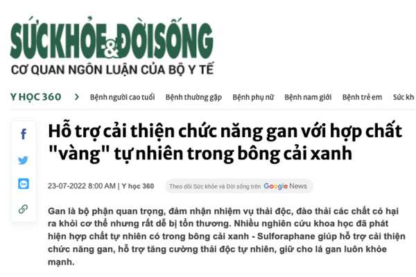Hỗ trợ cải thiện chức năng gan với hợp chất 