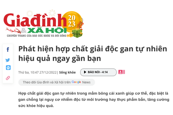 Phát hiện hợp chất giải độc gan tự nhiên hiệu quả ngay gần bạn