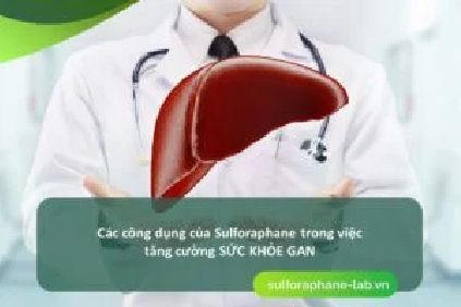 Các công dụng của Sulforaphane trong việc tăng cường sức khỏe gan