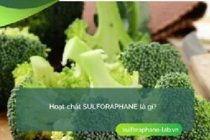 Sulforaphane là gì? Cơ chế hoạt động và lợi ích mang lại