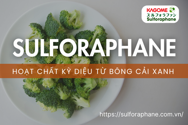 Sulforaphane – Hoạt chất kỳ diệu từ bông cải xanh