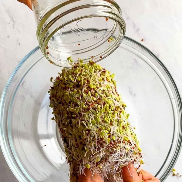 Mầm bông cải xanh có thực sự tốt hơn cải xanh thông thường?