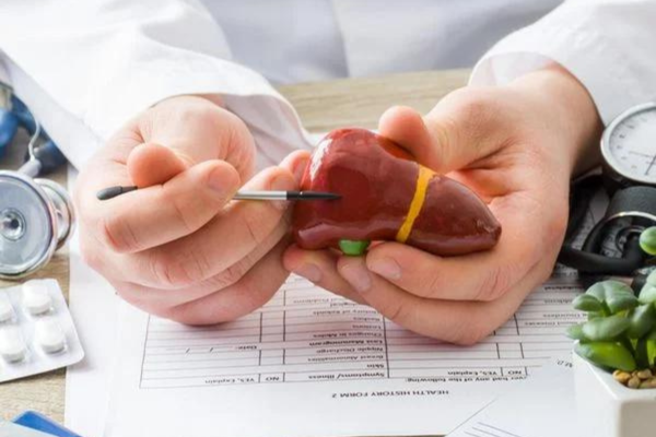 Men gan là gì? Chỉ số men gan bình thường là bao nhiêu?