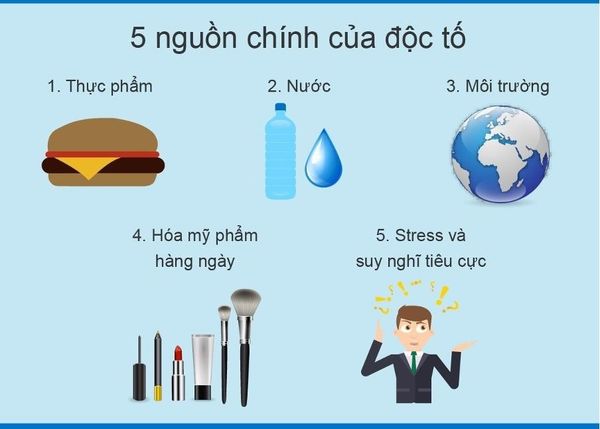 Đào thải chất độc trong cơ thể là gì