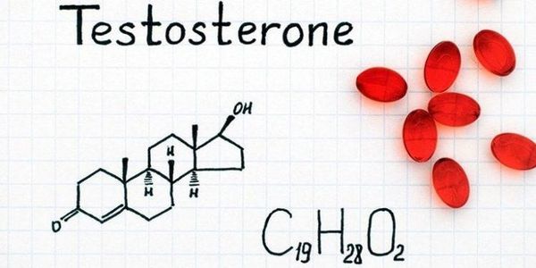 Sulforaphane testosterone là gì?