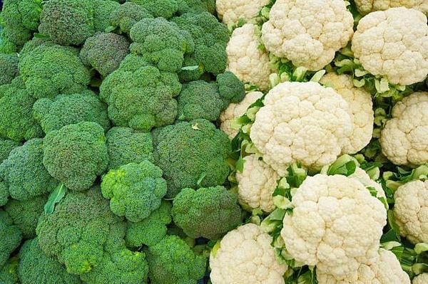 Top 5 lợi ích sức khỏe của bông cải xanh và súp lơ – Kagome Sulforaphane -  TPBVSK GAN số 1 từ Nhật Bản