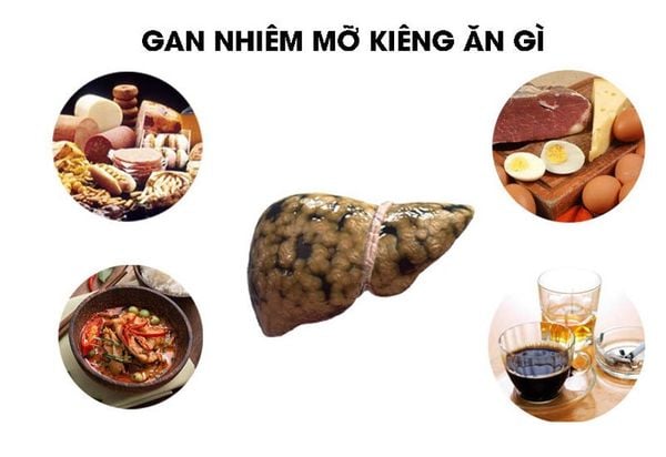 Bệnh gan nhiễm mỡ nên kiêng ăn gì