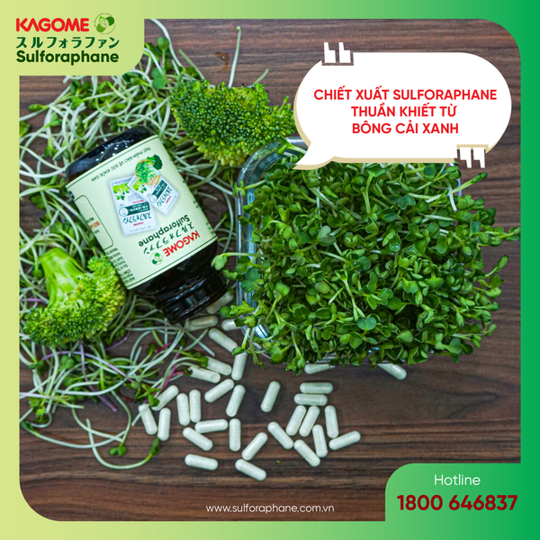 Sử dụng thực phẩm tăng cường chức năng gan Kagome Sulforaphane