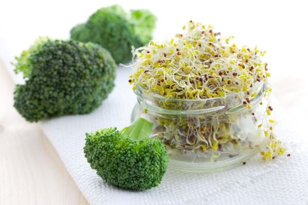 Sulforaphane - Hoạt Chất Quyết Định Sự Khác Biệt