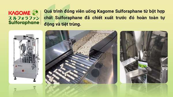 Quá trình đóng viên uống Kagome Sulforaphane