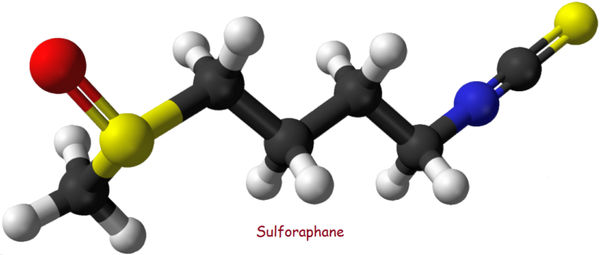 sulforaphane-la-gi