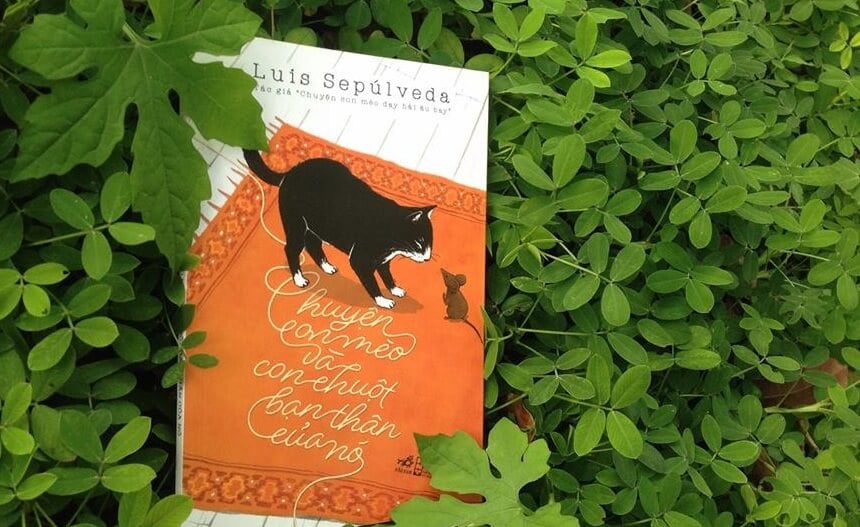 Những bài học về tình bạn rút ra từ cuốn sách 