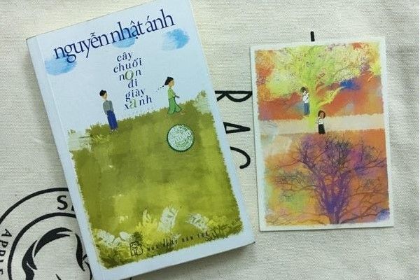 cay-chuoi-non-di-giay-xanh