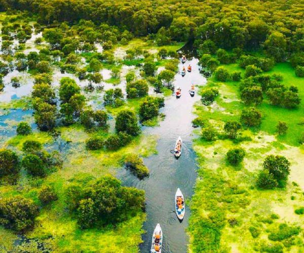 Trải nghiệm du lịch sinh thái tại Rừng Tràm Trà Sư