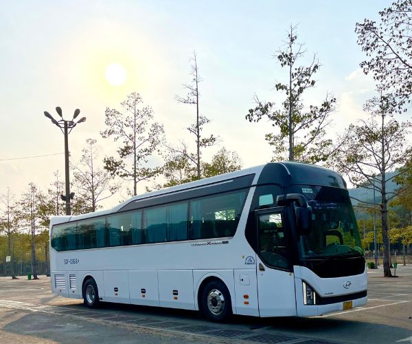 Tìm kiếm đơn vị cho thuê xe du lịch 45 chỗ đáng tin cậy